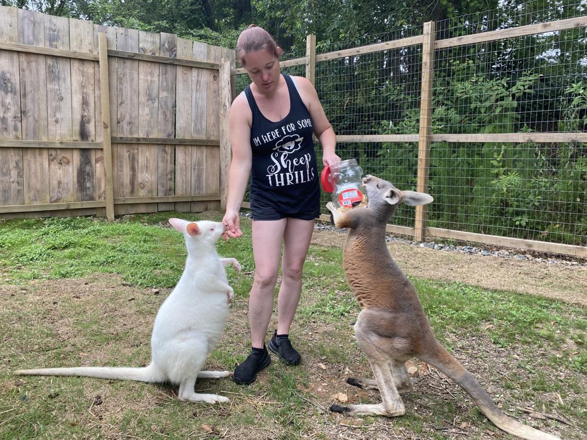 Hand Me Down Zoo in Winder takes interactive approach to educating