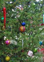 Selecting and keeping your Christmas tree looking its best