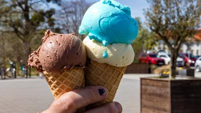 Iconic ice cream brand files for Chapter 11 bankruptcy