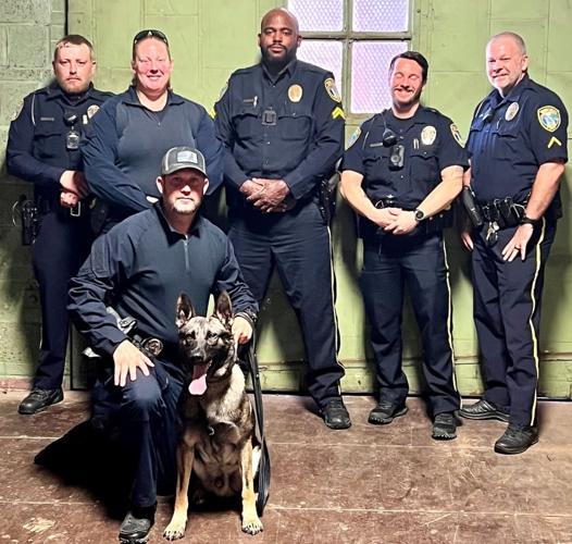Special crimefighting team achieves success Crime