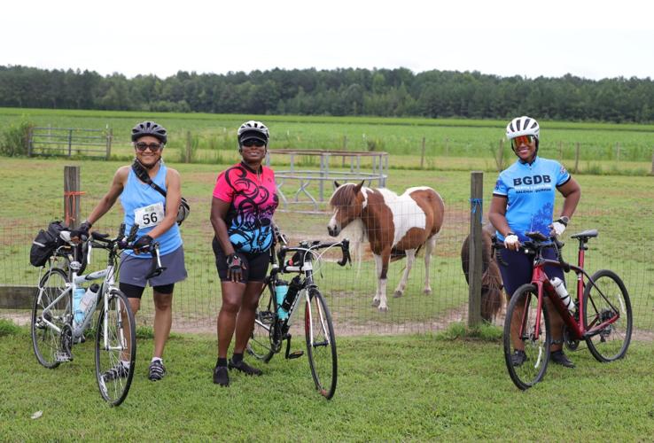 Princeville Multimedia