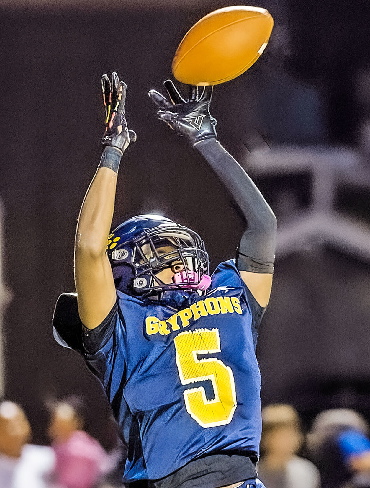 Gryphons score 37 unanswered points to clip Golden Falcons - BVM Sports