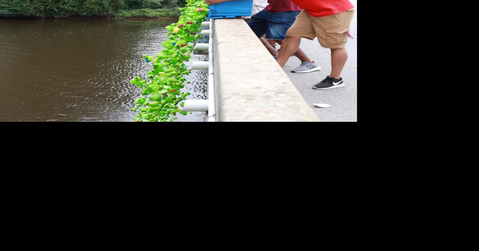 It's turtle race time again | Local News | rockymounttelegram.com