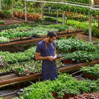 Gen Z Turns the Houseplant Craze into a Lifestyle Trend