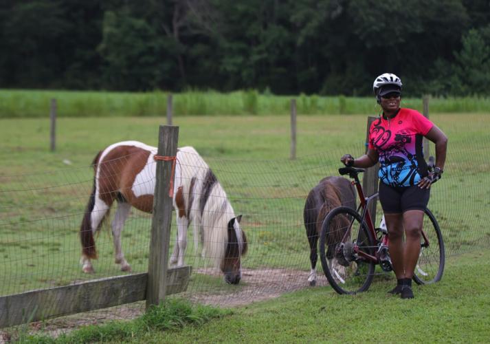 Princeville Multimedia