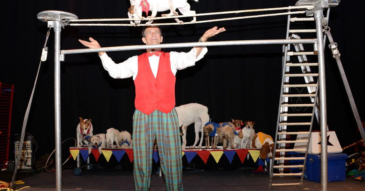 Dog troupe to perform comedy show | Local News Dog troupe to perform comedy show | Local News