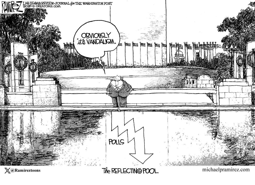 Editorial - Cartoon - Reflecting | Local | rockymounttelegram.com