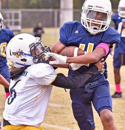 Youth Football: Little Gryphons qualify two teams for postseason, Local  Sports