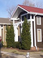 Matthew Stevens: Podocarpus does its job and does it well