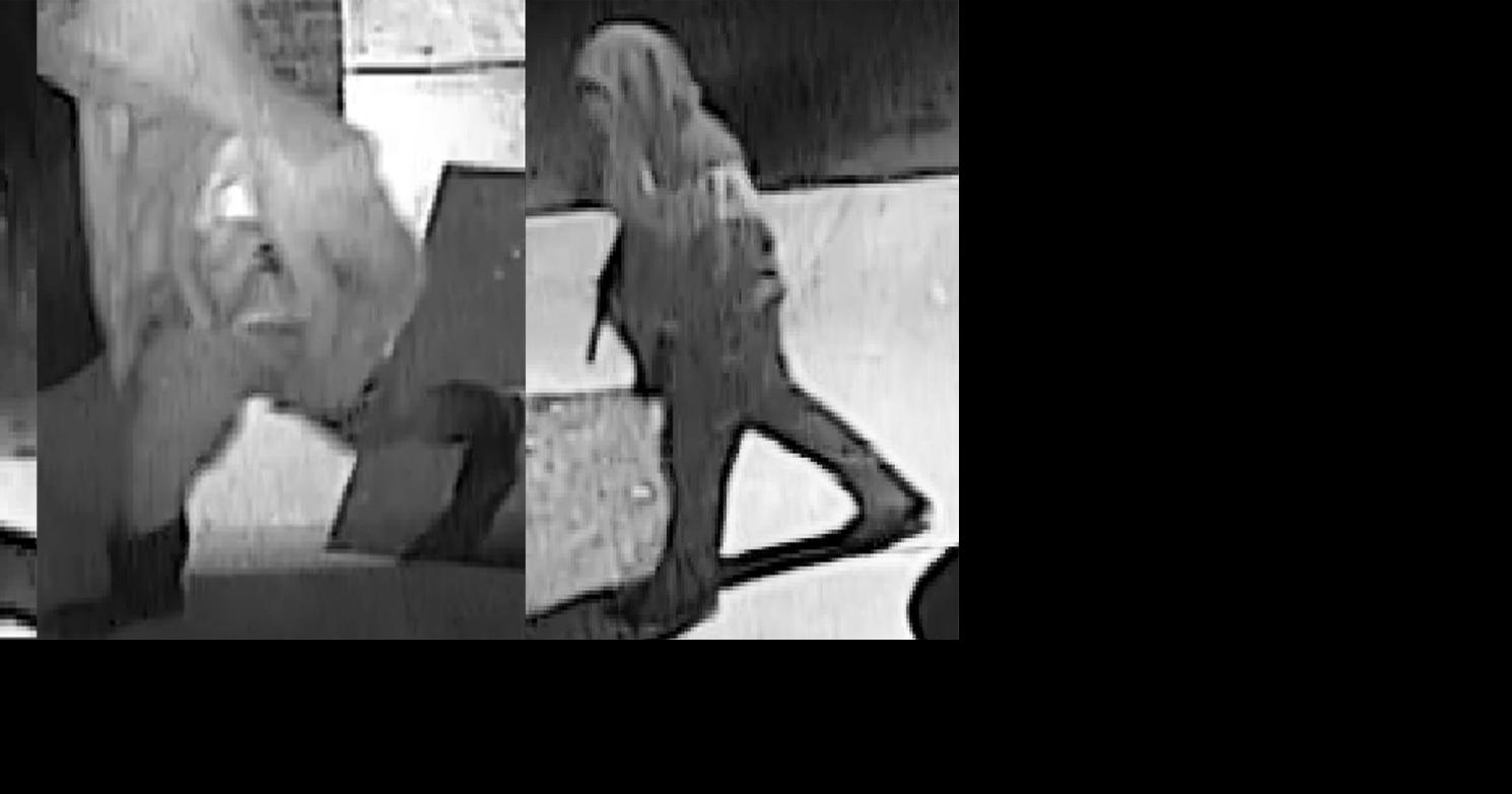 RRPD wants ID of larceny suspects | Local News | rrdailyherald.com