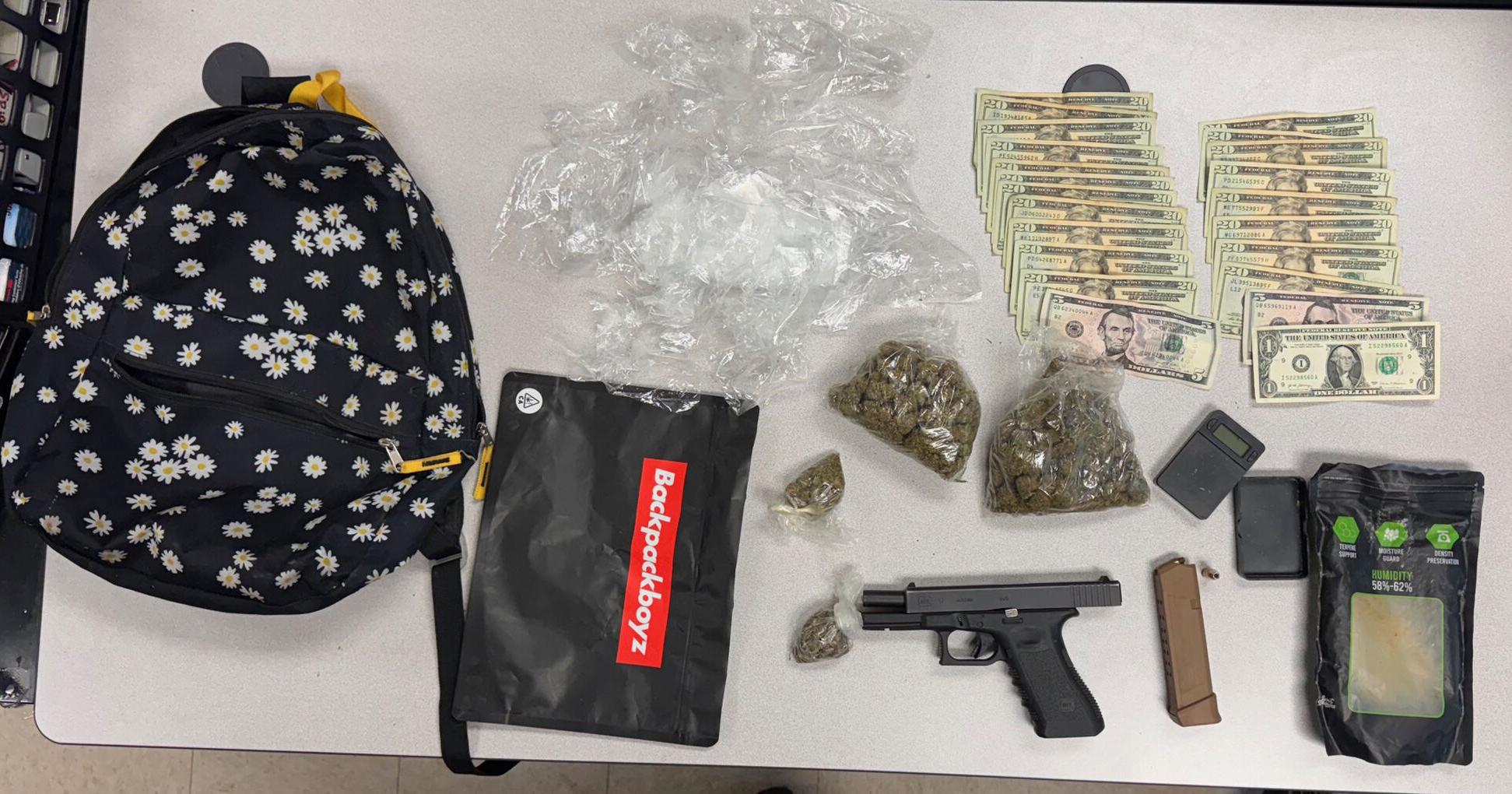Man arrested following domestic disturbance, pursuit - Vimarsana News