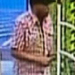 ID sought for larceny suspect - Vimarsana News