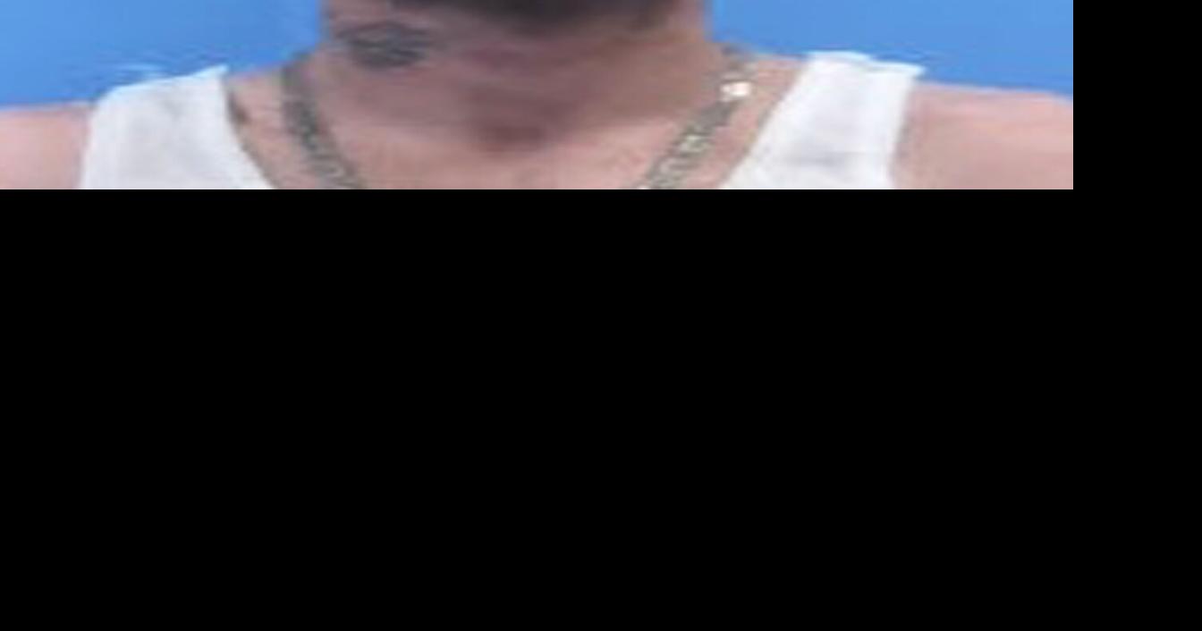 Felon arrested for theft of firearm, motor vehicle | Local News ...