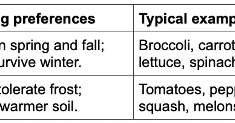 Cultivating Growth with Halifax Extension: Springing into the garden