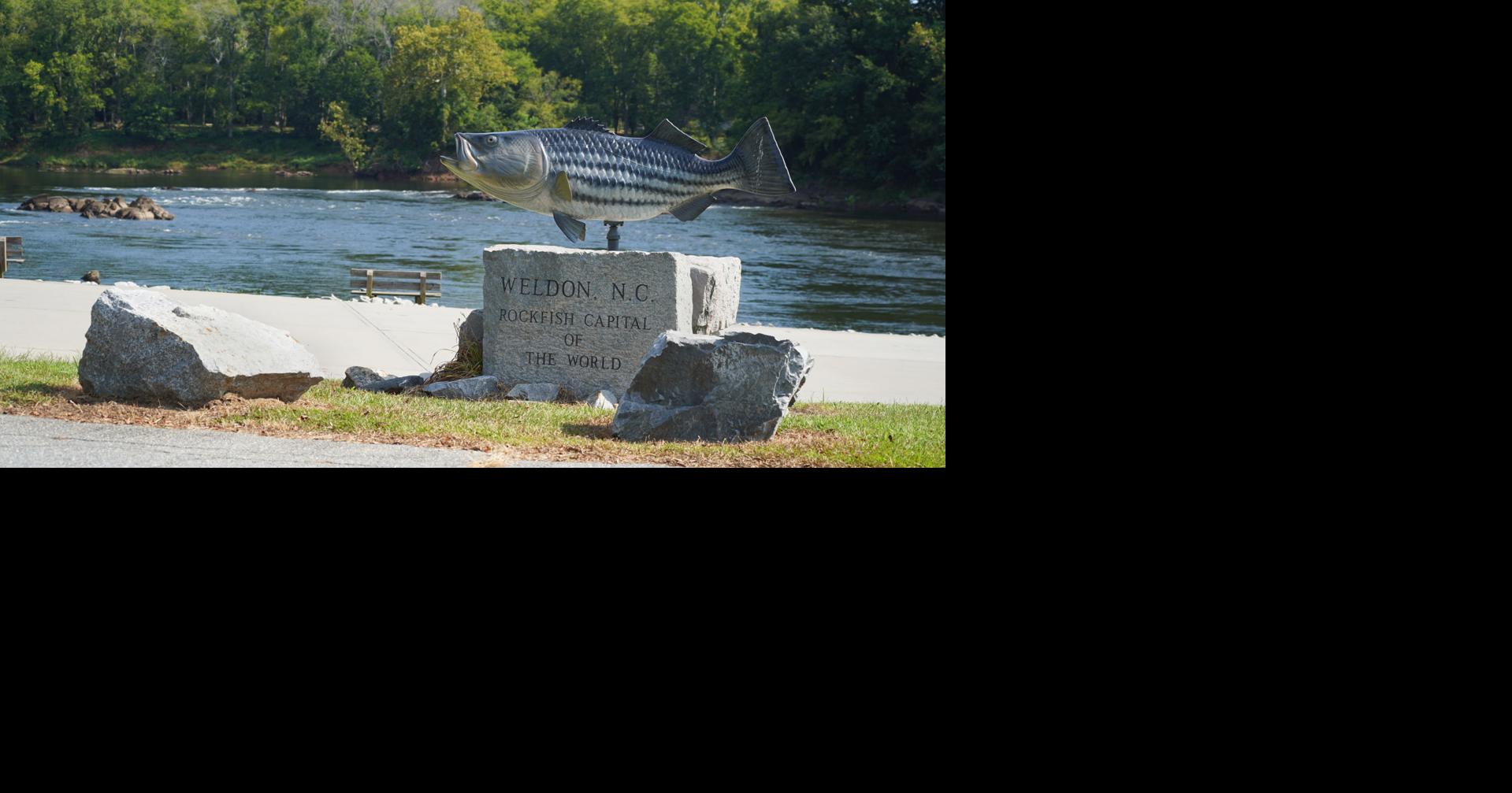 'Rockfish Capital of the World' Town of Weldon seeks to keep trademark