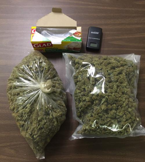 Top 97+ Images what does weed look like in a bag Completed