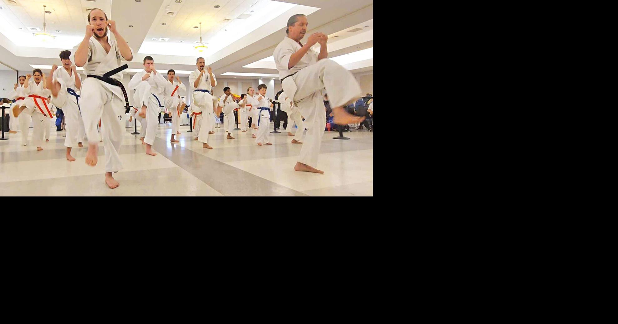 Area Kyokushin Karate students perform at festival | Local ...