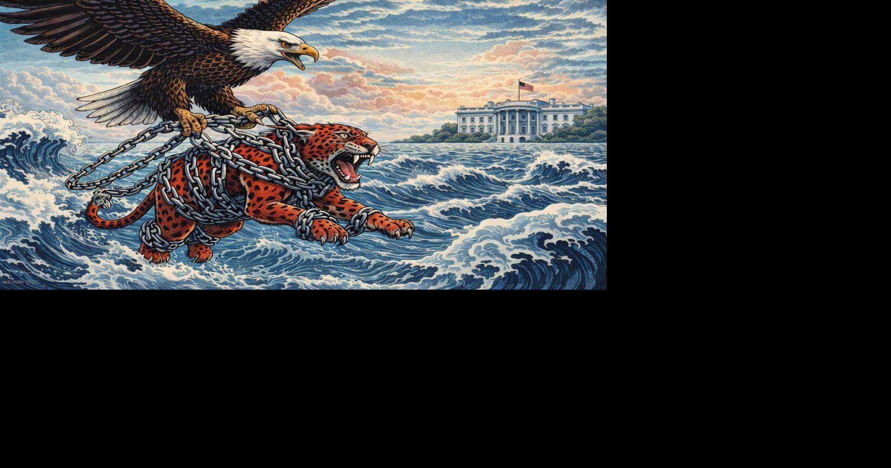 Exploring the Whatnots: When a president must act