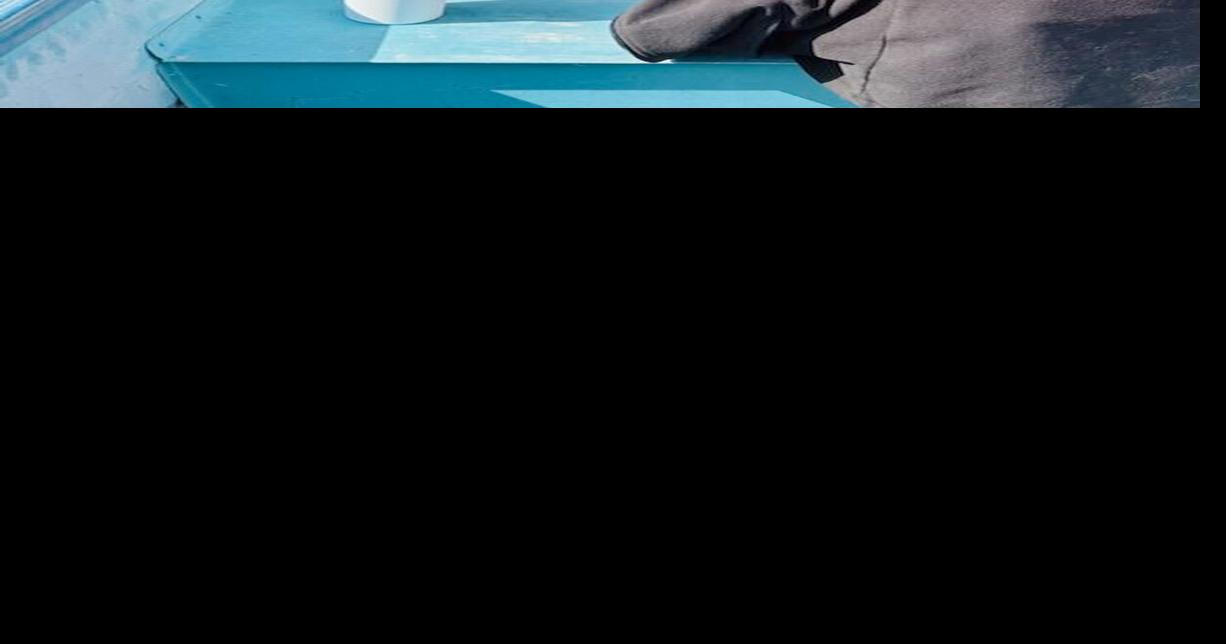 Weed control council begins Lyngbya treatment season