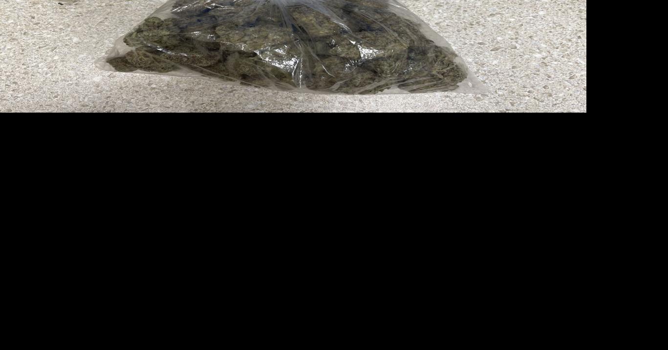 Crime Roundup Roanoke Rapids Police and Weldon Police Local News