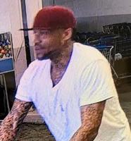 Public's help sought in identifying theft suspect