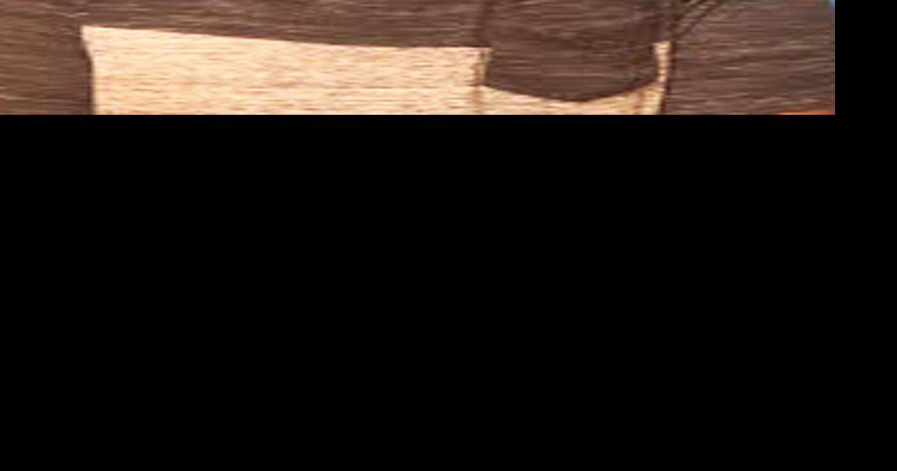 Crime Roundup Weldon Police Department Local News