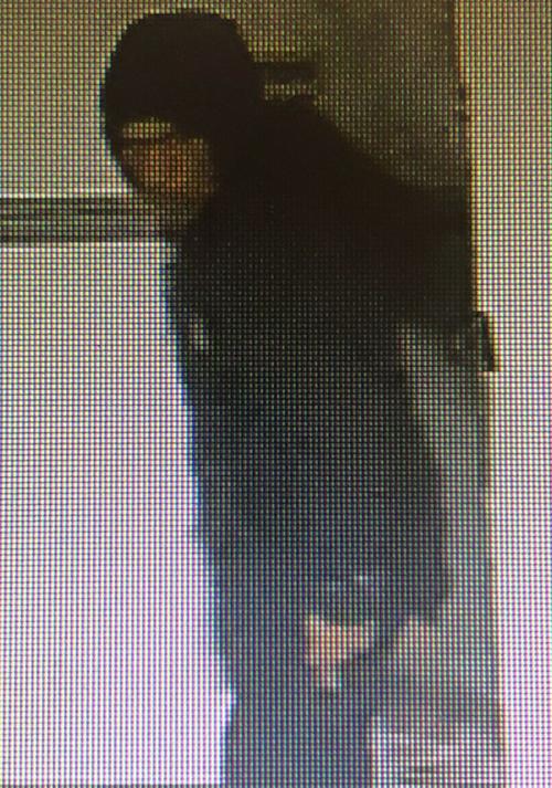 HCSO investigating breaking and entering