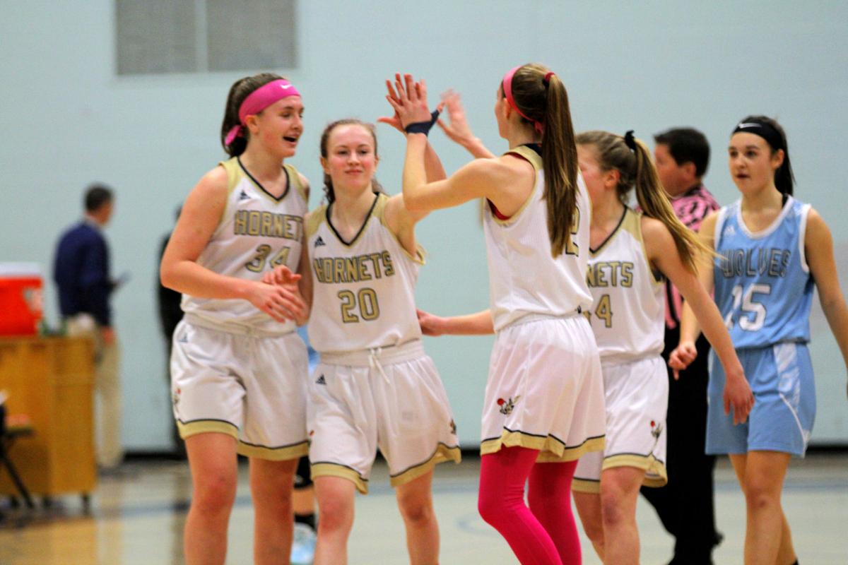Hornets Prevail In Tight Pink Zone Tilt With South Burlington