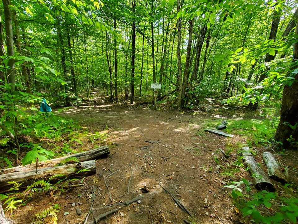 Seeing Vermont Here are 15 photos of what you might see when hiking the Preston Pond and Long