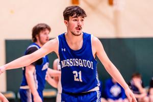 T-birds fall to Fair Haven in D2 playdown