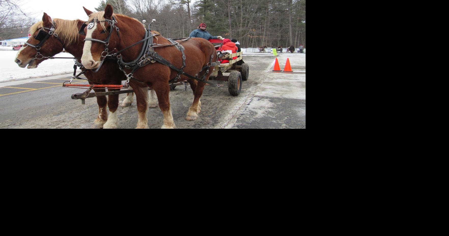 Parks and Recreation What to do at the Winter Carnival Colchester