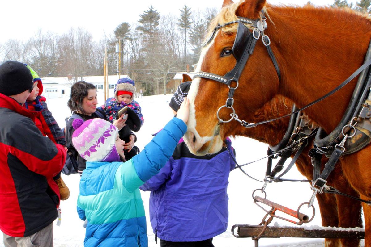 Essex Winter Carnival 2020 News Samessenger Com