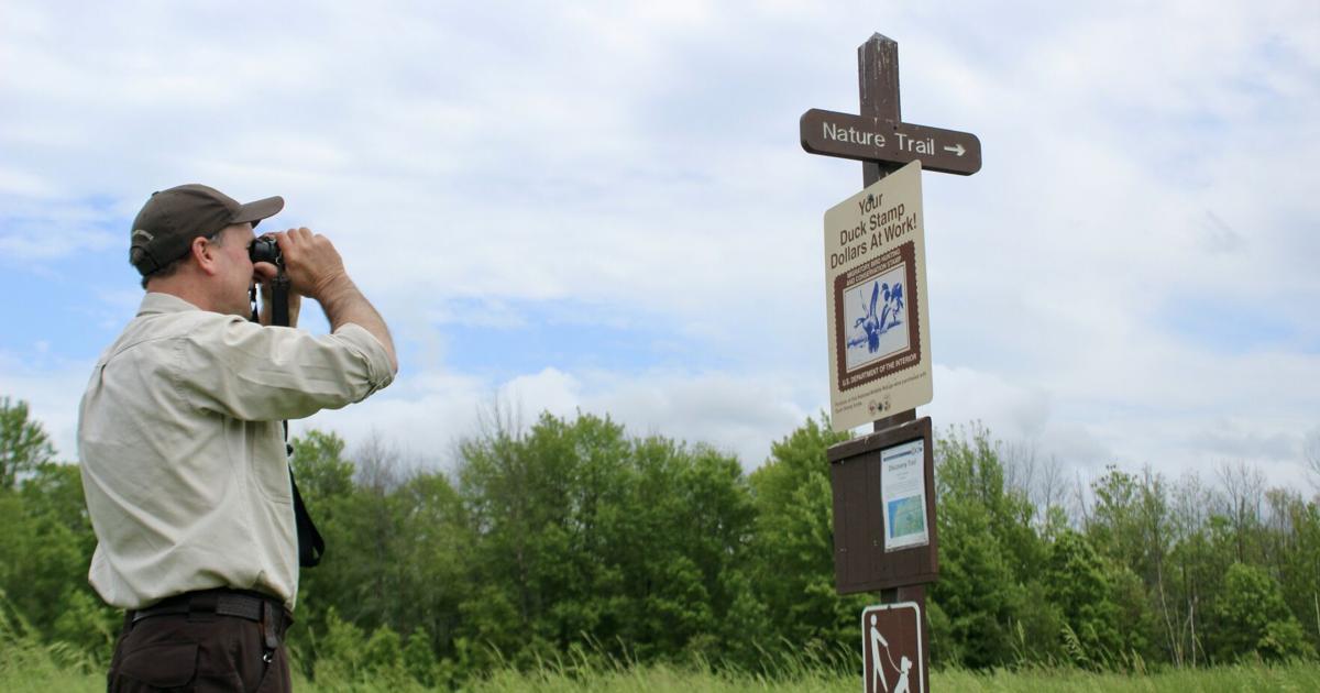 Wing watchers: Get to know the basics of Northwest Vermont’s birding scene