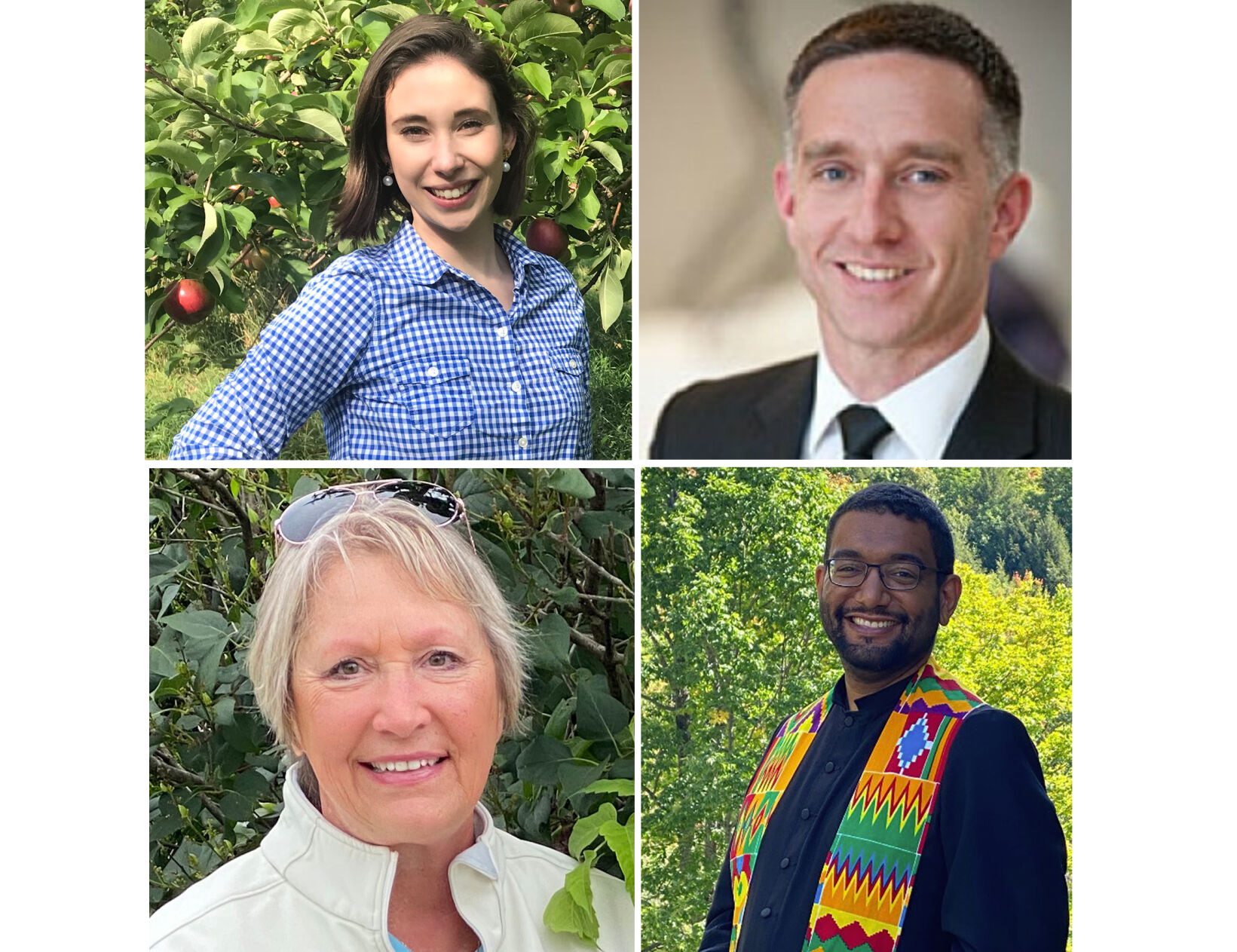 Alan Maynard Q&A: In Georgia and Fairfax, new faces are on the ballot this November ...
