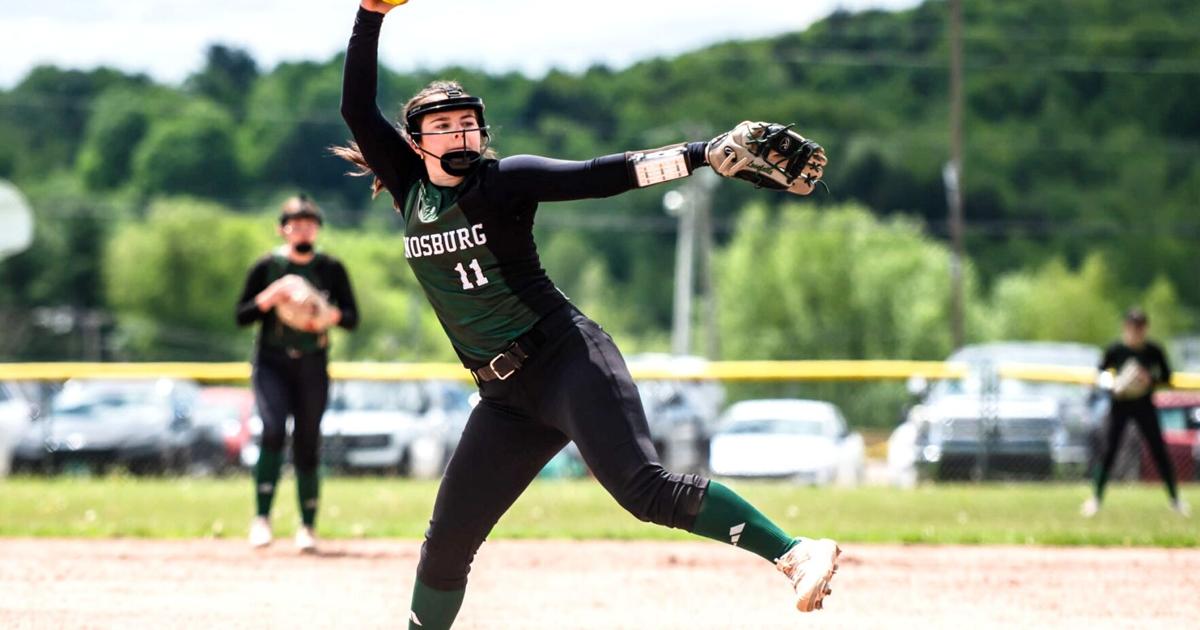 Natalie Lovelette throws no-hitter for Hornets