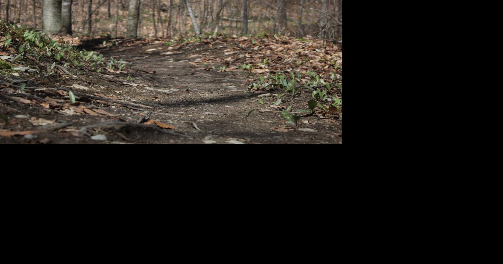 Vermont's trails sustainable designs and adaptive paths | Local News ...
