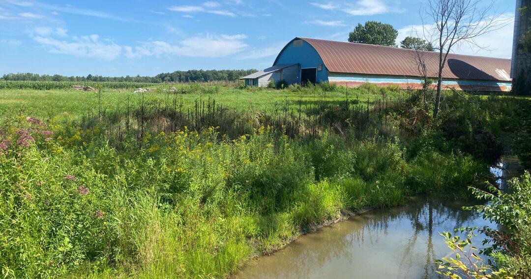 Friends of Northern Lake Champlain completes design for Polly Hubbard Road Project in Georgia - Vimarsana News