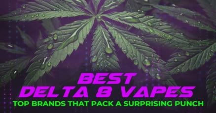 Best Delta 8 Vapes: Top Brands That Pack a Surprising Punch | Cannabis | samessenger.com Best Delta 8 Vapes: Top Brands That Pack a Surprising Punch | Cannabis | samessenger.com