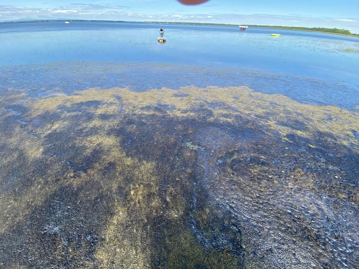 What's behind the smell at Swanton's Maquam Bay News