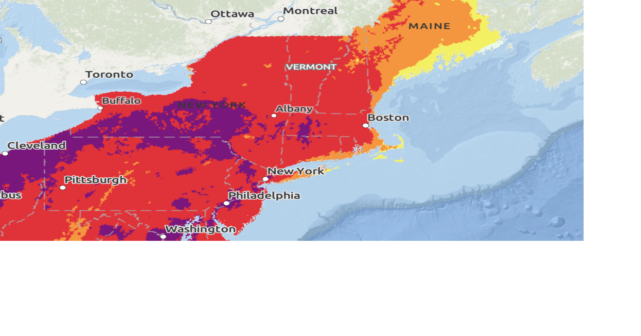 How to stay safe as summer heats up in Vermont