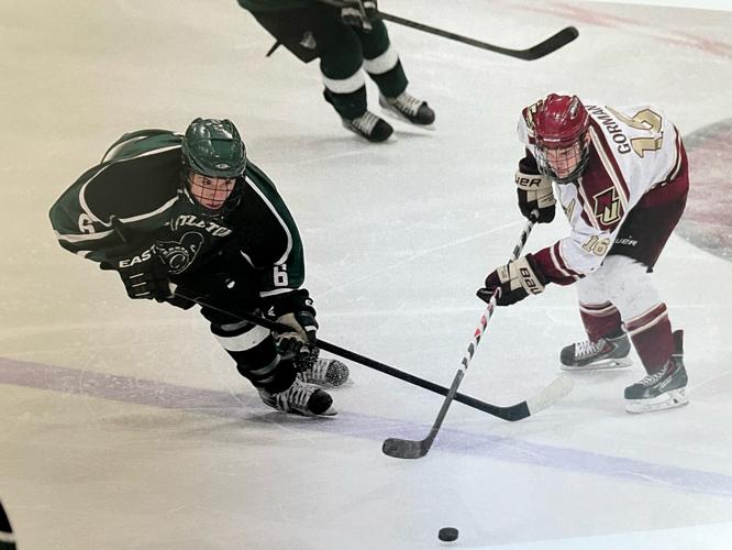 Group Promotes Collegiate Roller Hockey