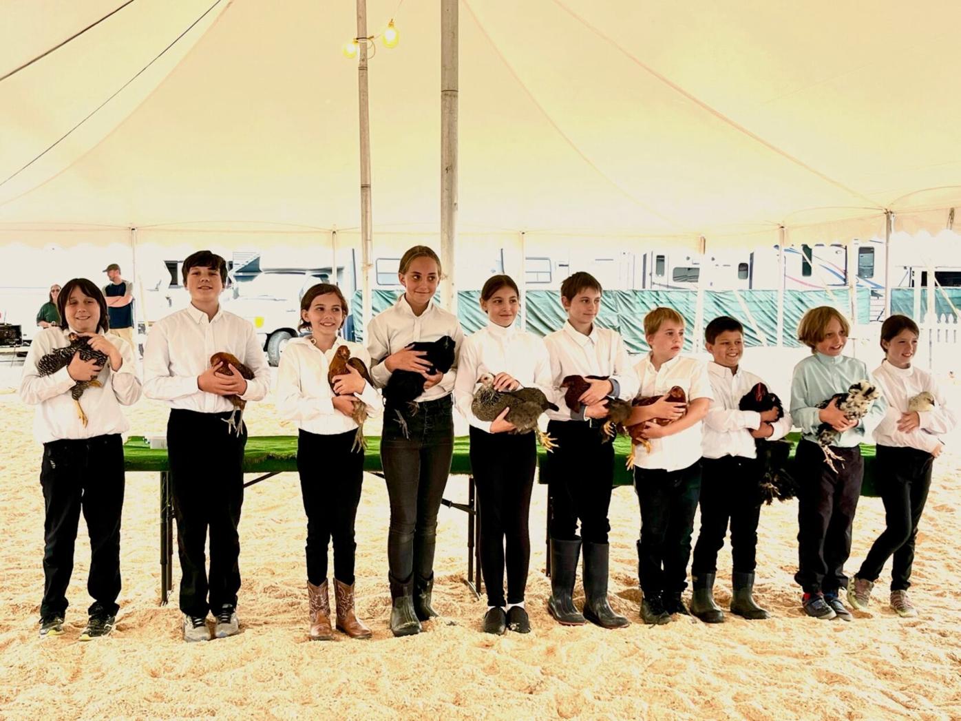 Franklin County 4-Hers take part in competitions at Champlain Valley Fair |  Local News | samessenger.com