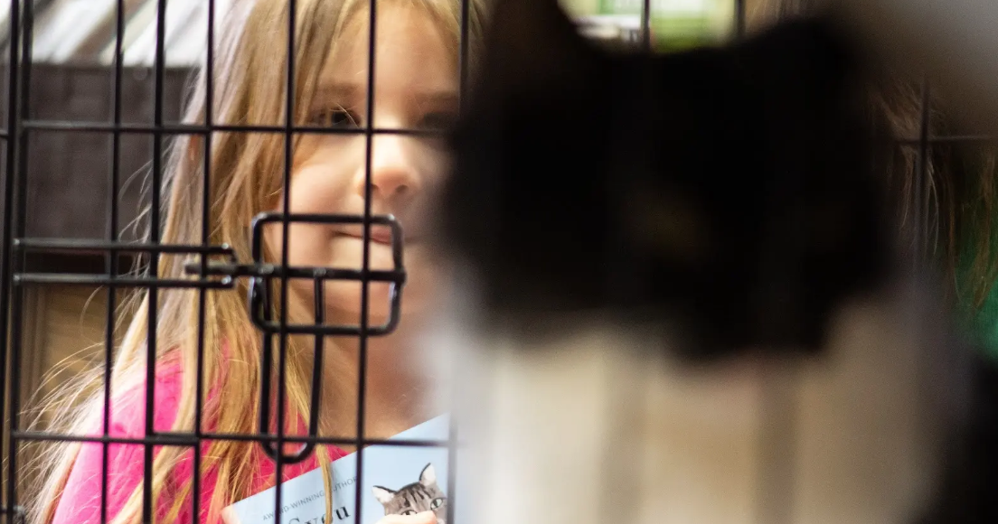 Spring kicks-off ‘kitten season’; Eloquent Page pairs cats with readers | Local News