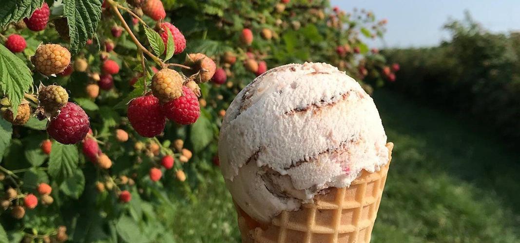 MAPPED What to do near Essex this weekend, Sept. 2527 News