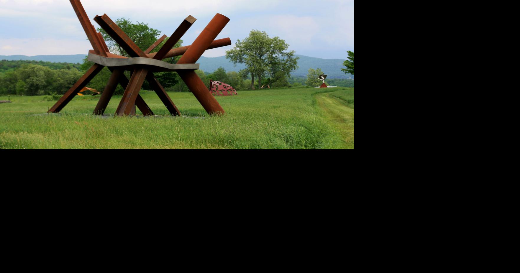 Arts veteran Robin Schatell to lead Cold Hollow Sculpture Park