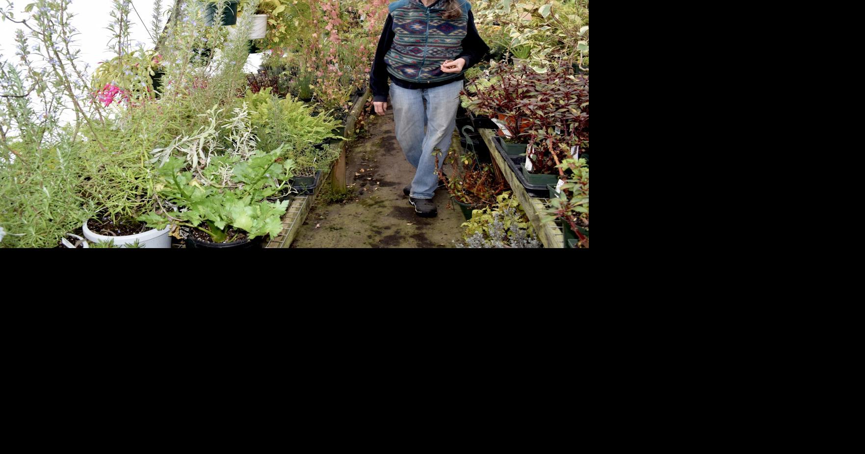 Q&A Barbara Monty of Beaver Meadow Greenhouses shares 6 tips for home