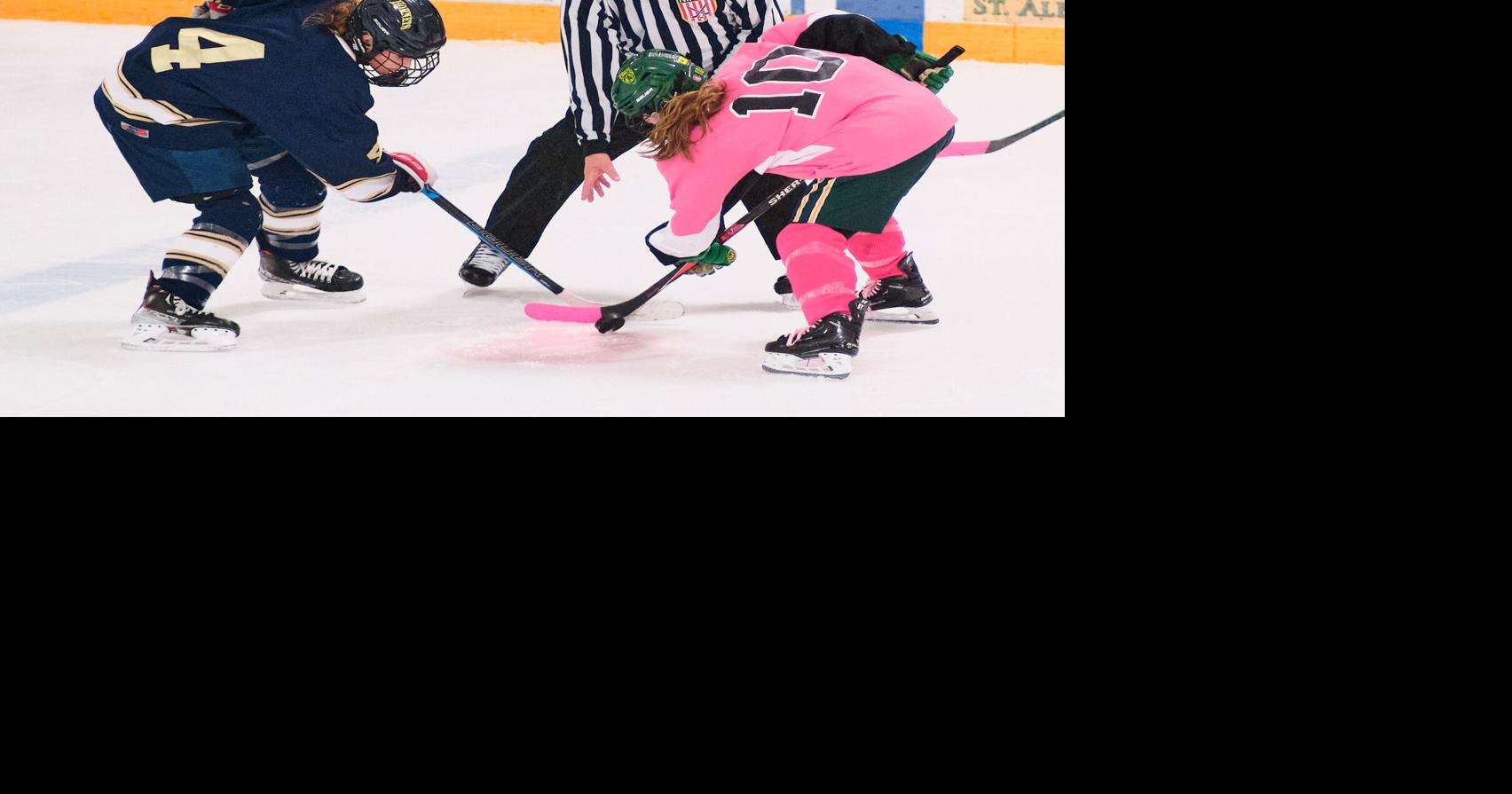 Strong first period boosts Comets past Hornets in annual 'Pink the Rink ...
