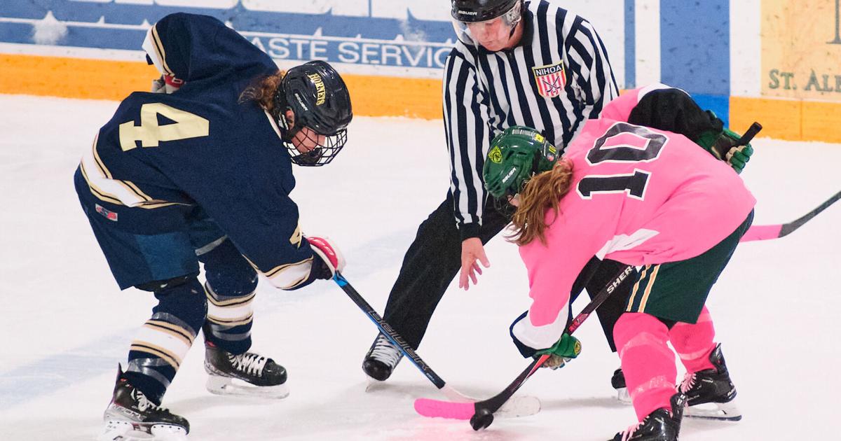 Pink The Rink Strong first period boosts Comets past Hornets in annual 'Pink the Rink ...