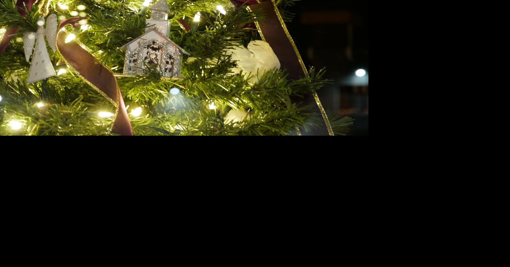 Here’s a St. Albans holiday lights tour that’s a real ‘showstopper’
