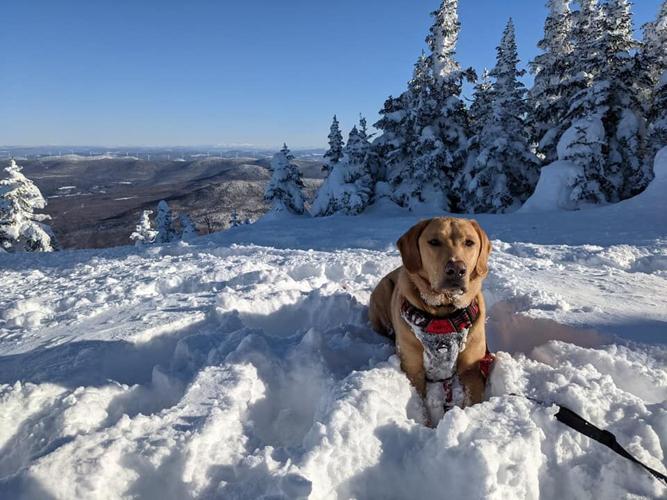 Outdoors with Ruthie Would you climb the 50foot Belvidere Mountain